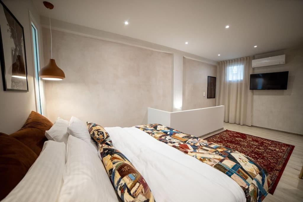 Meteora Loft Apartment Kalampáka Ngoại thất bức ảnh