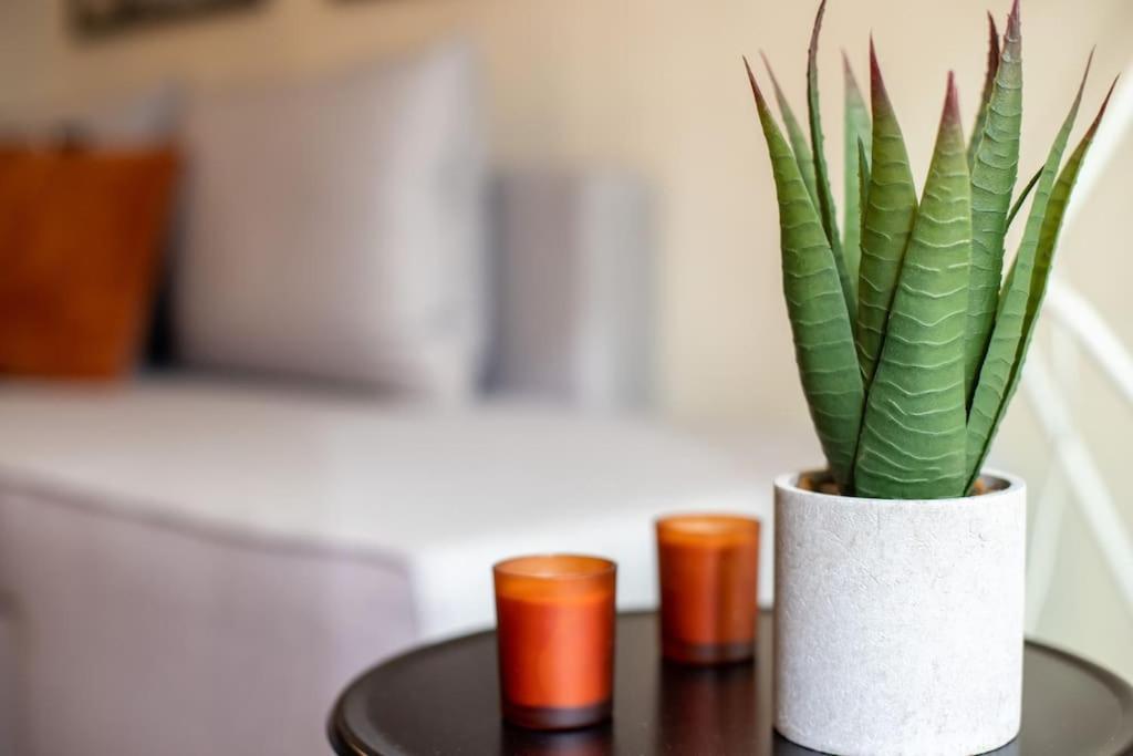 Meteora Loft Apartment Kalampáka Ngoại thất bức ảnh